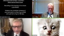 'I’m not a cat' - lawyer gets stuck on Zoom kitten filter during court case