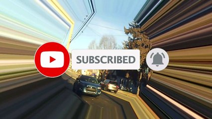 Cleaning the cat boxl Going to Food Bank l Mirror and Laser effects