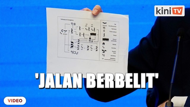 Covid-19 mungkin ambil 'jalan berbelit' sebelum tiba di Wuhan