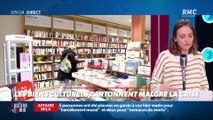Dupin Quotidien : Les biens culturels cartonnent malgré la crise - 10/02