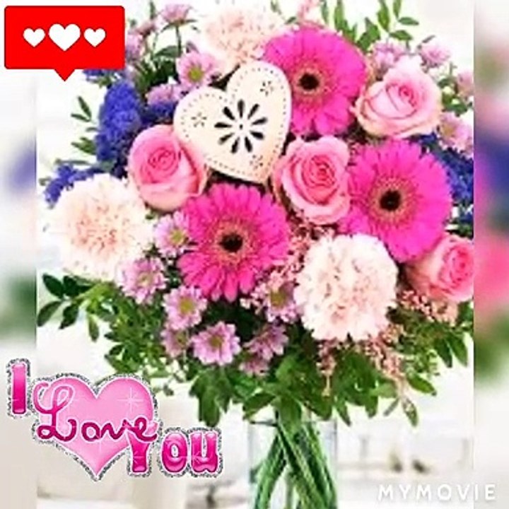 Happy Valentine's Day WhatsApp status video Dailymotion