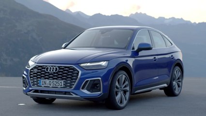 Audi Q5 Sportback Designclip