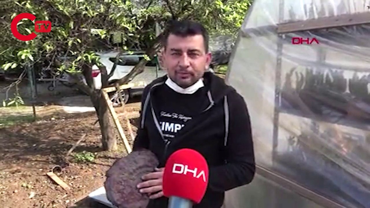 Marmarisli turizmci, 'ölümsüzlük mantarı' buldu