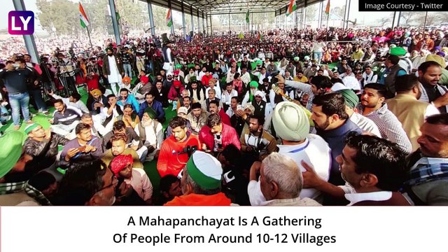 Farmer Protests See Thousands At Mahapanchayat In Rajasthan, UP, Haryana; Will Hold It In All States, Says Rakesh Tikait