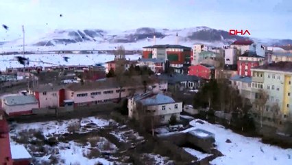 Ardahan'da karga istilası! Çıkardıkları ses kulakları deliyor