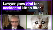 Hilarious moment Texas lawyer appears with cat filter before judge on Zoom
