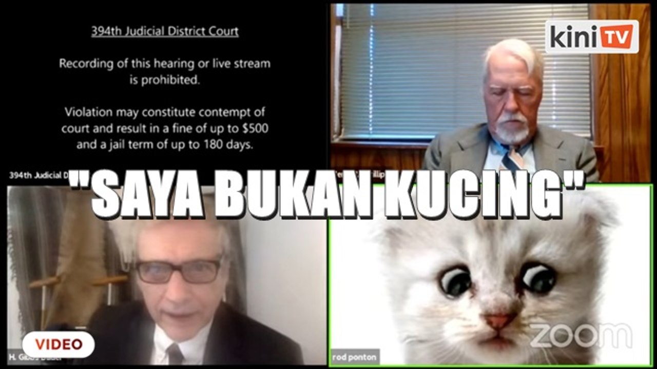 'Saya bukan kucing' - Peguam tak sengaja aktifkan 'filter' ketika sesi Zoom