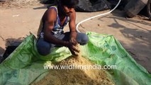 Manual sugar making from concentrated sugar syrup _ Sugar industry in North India