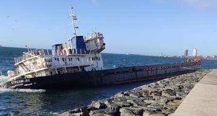 Ardahan, korku filmindeki gibi karga istilasına uğradı