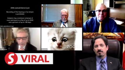 Lawyer's fine with 'cat' episode, judge says it's one of those learning moments