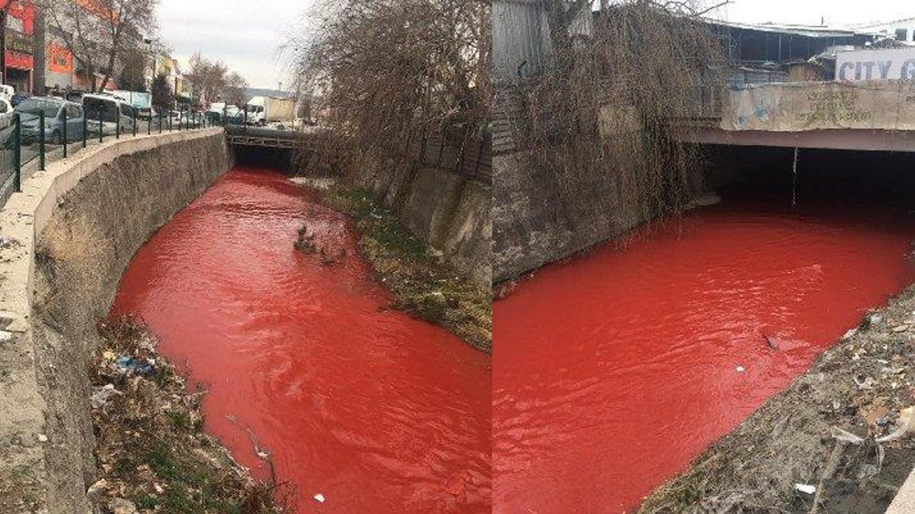 Ankara Çayı, kırmızıya boyandı