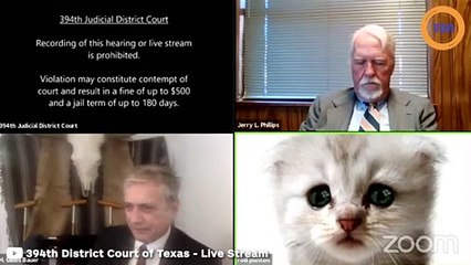 Un avocat se retrouve avec un filtre chaton sur Zoom et ne sait pas comment l'enlever
