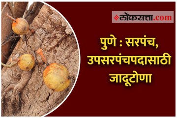 पुणे : सरपंच, उपसरपंचपदासाठी जादूटोणा