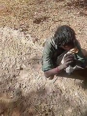 इंजीनियरिंग कॉलेज में चोरी का प्रयास, चार को पकड़ा