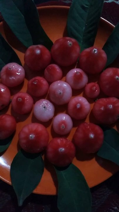 WhatsApp status/very nice song