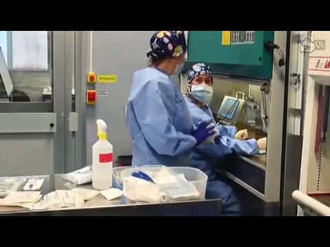 ARRIVANO VACCINI DI ASTRAZENECA