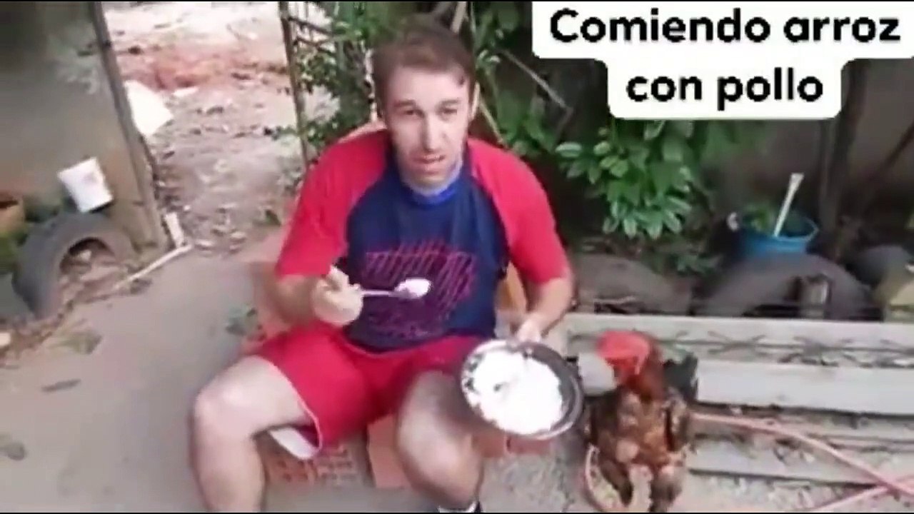 VIDEOS VIRALES PARA MORIRSE DE LA RISA 