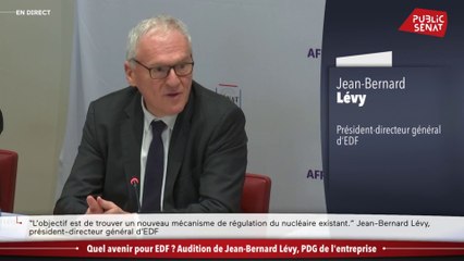 Projet Hercule : « On essaye de faire en sorte qu’EDF revienne dans le peloton de tête »