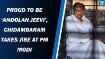 Proud to be ‘andolan jeevi’, Chidambaram takes jibe at PM Modi