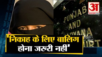 Punjab-Haryana High Court ने स्पष्ट किया निकाह के लिए बालिग होना जरूरी नहीं समेत 10 Big News