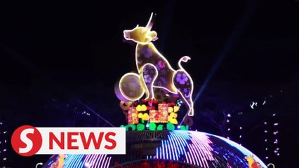 Online viewing of CNY lantern lighting up ceremony at Dong Zen Temple