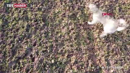 Kangal köpeği 5 metre yüksekteki dronu kaptı