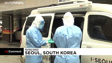 Pet dogs and cats can get COVID-19 tests in Seoul, South Korea