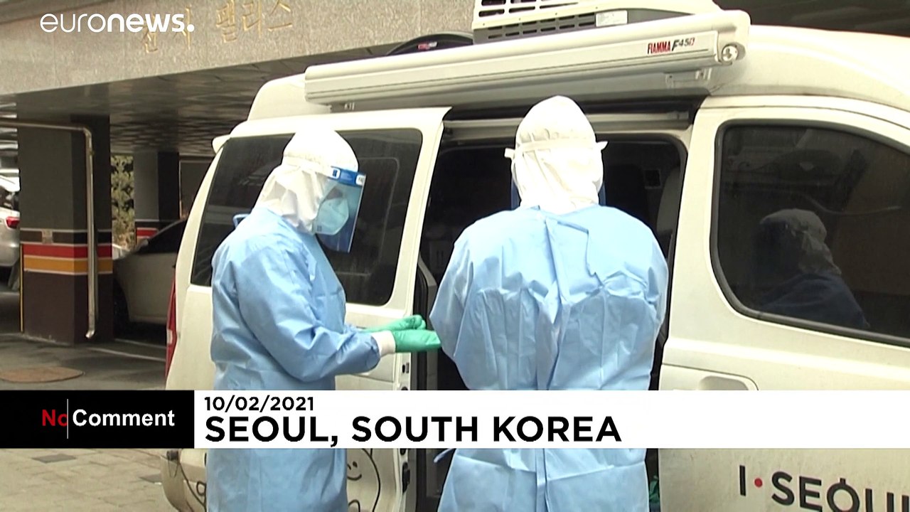 Pet dogs and cats can get COVID-19 tests in Seoul, South Korea
