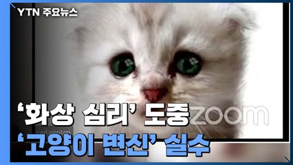 "판사님, 저는 고양이가 아니에요" 화상 회의 중 변호사의 귀여운 실수 / YTN