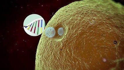 Videografik: So funktionieren mRNA-Impfstoffe