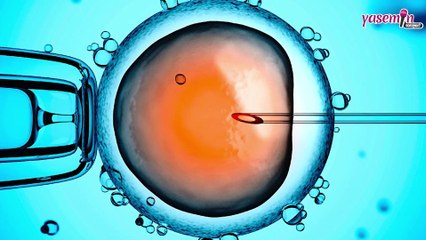 Tüp bebek tedavisini kimler yapabilir?