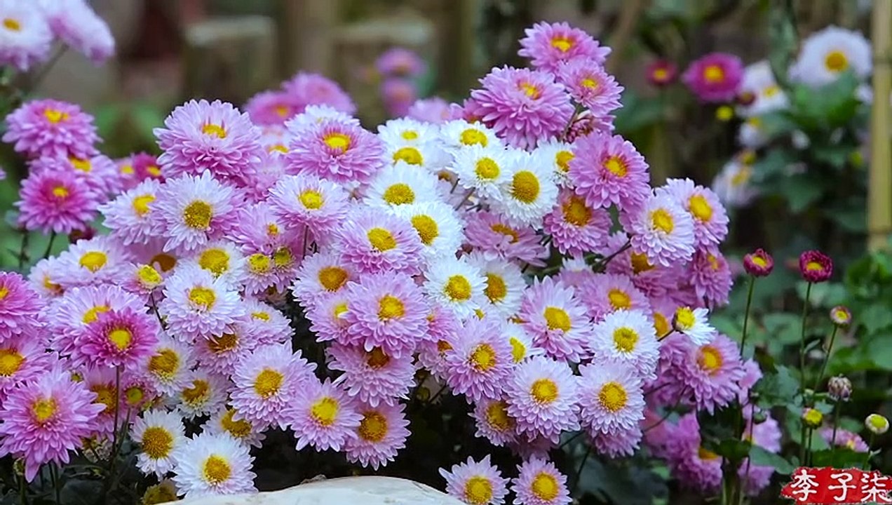 Kertas seribu tahun changan seribu tahun, kertas aslinya dibuat seperti ini