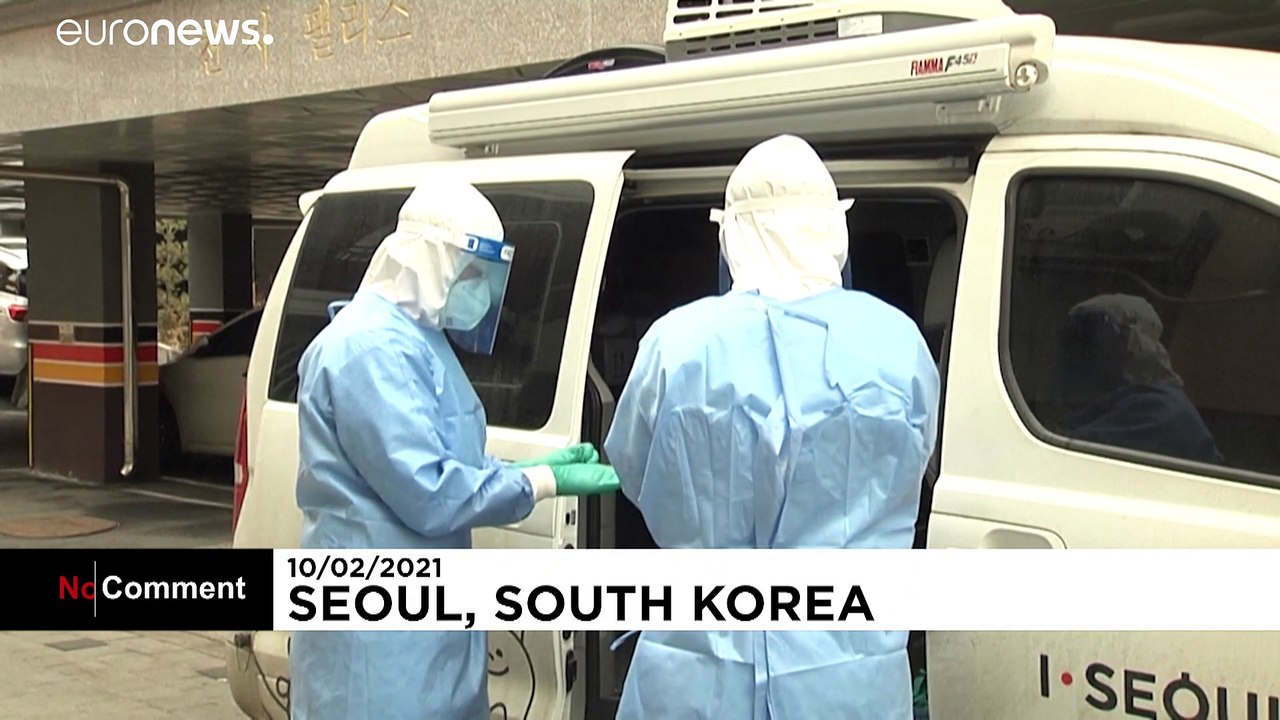 Seoul: Corona-Test für das Haustier