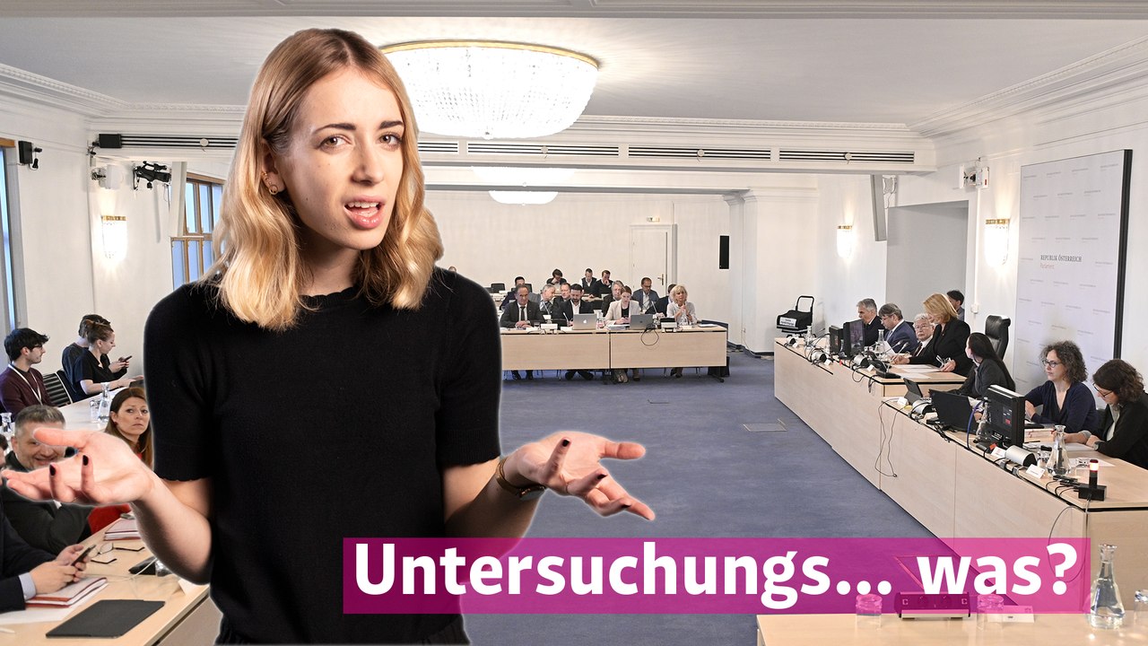 Was ist ein Untersuchungsausschuss?