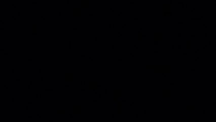 The O.C - Temp 2 Cap 1 Audio Latino