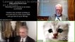 'I'm not a cat': Lawyer can't turn off kitten filter in Zoom court hearing