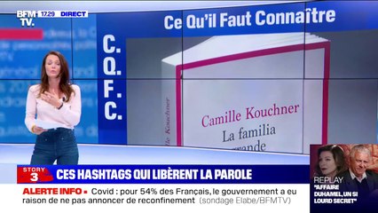 #BalanceTonPorc, #MeTooInceste, #SciencesPorc... Sur Twitter, ces hashtags libèrent la parole