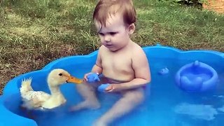 Funny Baby Reaction to Duckling in the Pool
