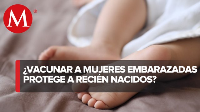 ¿Bebés recién nacidos de mamás vacunadas contra covid-19 tienen inmunidad_