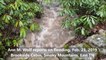 Dramatic Flooding in Smoky Mountains, Feb 2019 with Ann M. Wolf