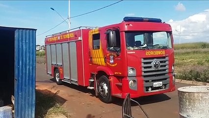 Download Video: Bombeiros são mobilizados para resgate, mas lebre morre após cair em buraco de obra