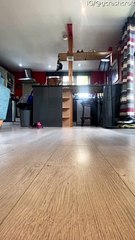 Little Drone Just Wants to Jump on the Trampoline