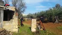 Castelvetrano (TP) - Fucile a canne mozze in un albero forse usato per omicidio (10.02.21)