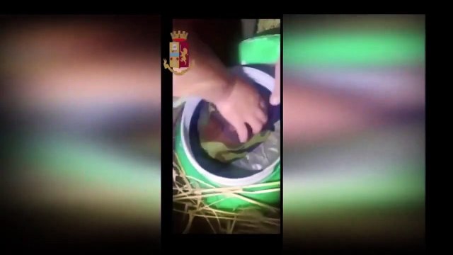 'Ndrangheta nel Crotonese, arresti contro cosche Arena-Nicoscia e Mannolo (10.02.21)
