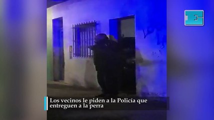 Vecinos le piden a la Policía que entreguen a la perra