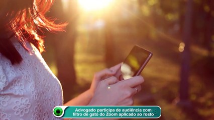 Advogado participa de audiência com filtro de gato do Zoom aplicado ao rosto