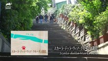 世界ねこ散歩～イタリア～フィレンツェ編