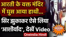 Viral Video: जब मंदिर के अंदर आया हाथी, गणेश जी से लिया कुछ यूं 'आशीर्वाद' । वनइंडिया हिंदी