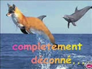 Amitié