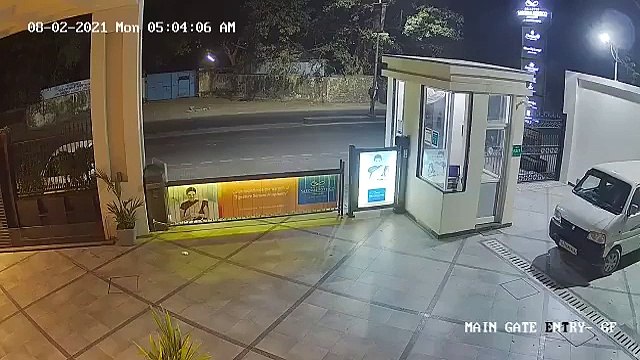 नहीं खुला था होटल का गेट, शेर ने फिर जो किया सिक्योरिटी गार्ड देखता रहा गया, CCTV में कैद हुई घटना